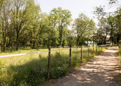 La piste de galop de 400 m - Les Écuries du Vallon