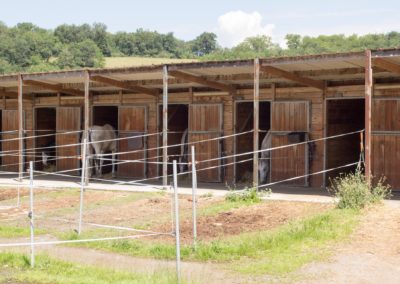 Les box avec aires de vie sont situés à côté du manège - Les Écuries du Vallon